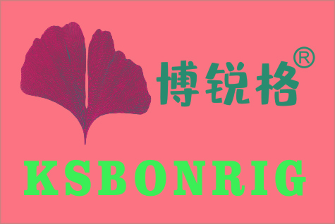 公司网站上线